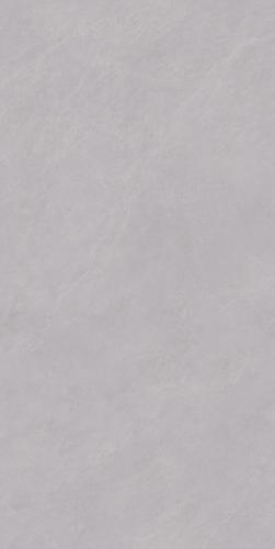 FEJ918915A